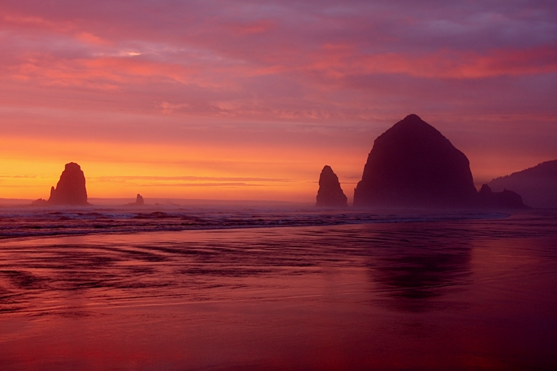 Photo contest picture: not available