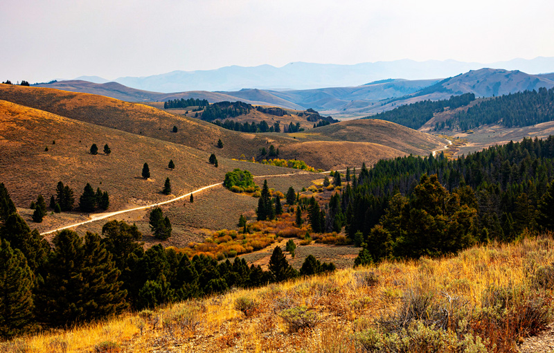 Photo contest picture: not available