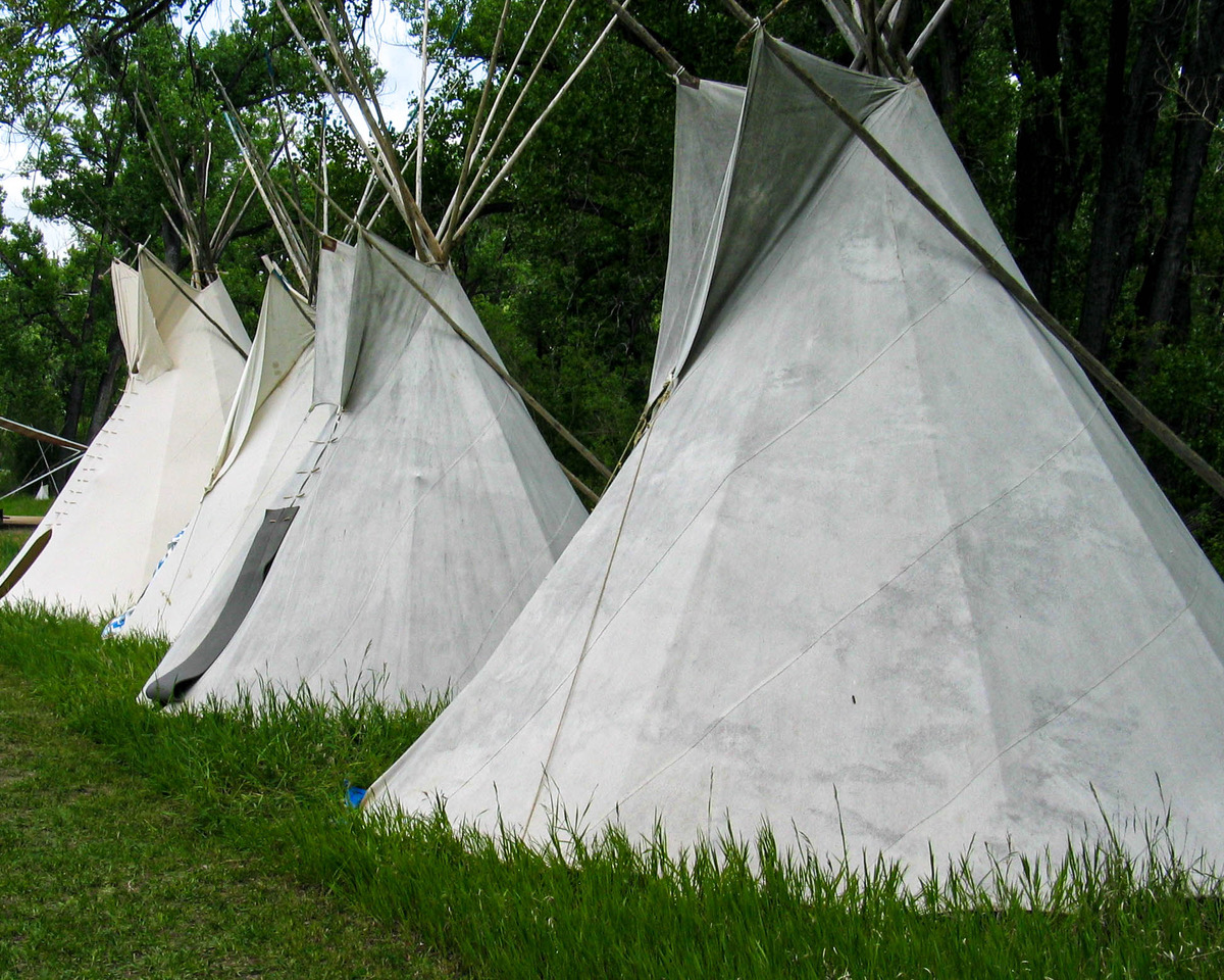 Photo contest picture: not available