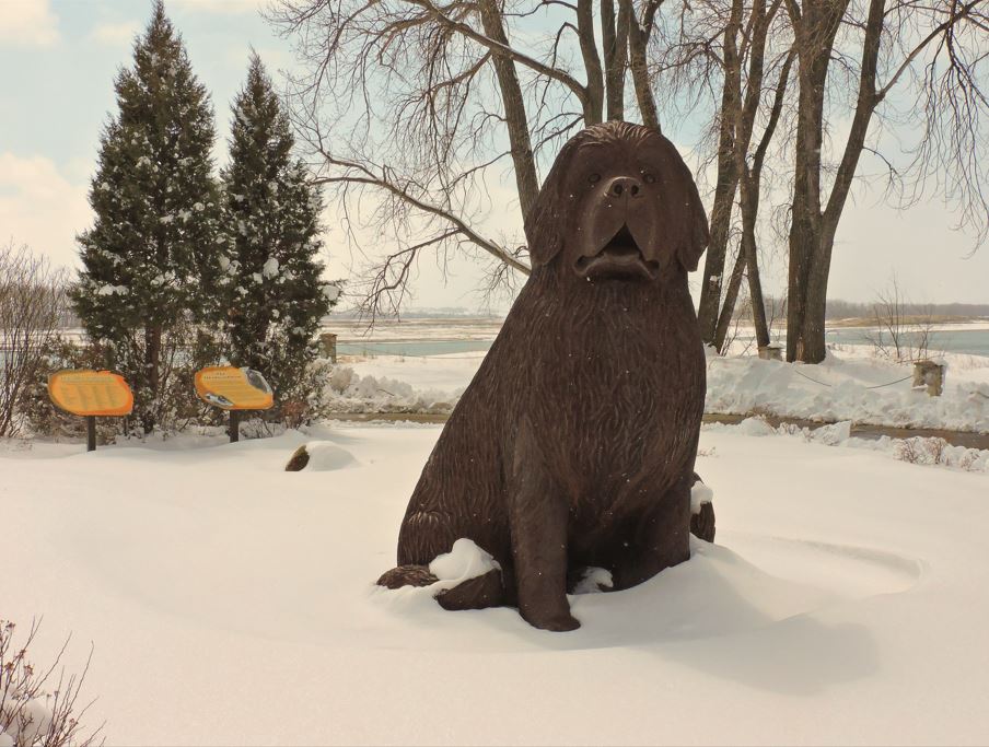 Photo contest picture: not available