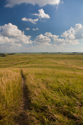 Prairie viewed from atop Spirit Mound